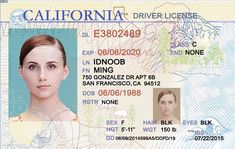california driver license template photoshop